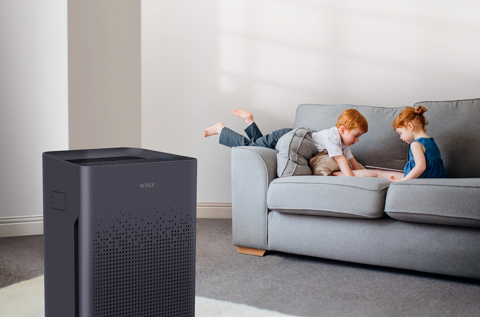 winix air purifier