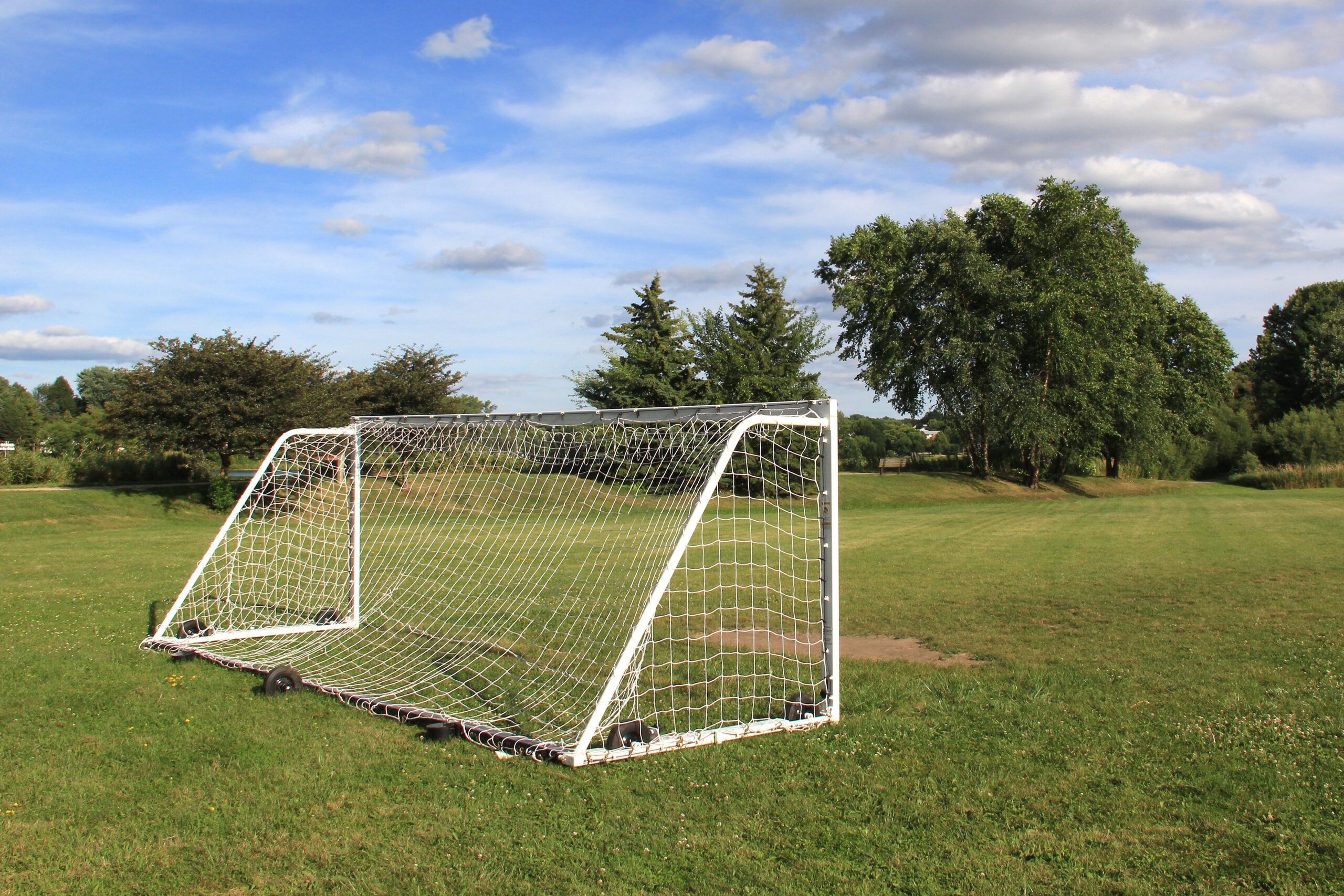 soccer net