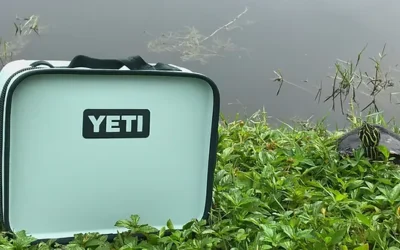 Discover the Top 10 Yeti Lunch Boxes for Ultimate Meal Preservation