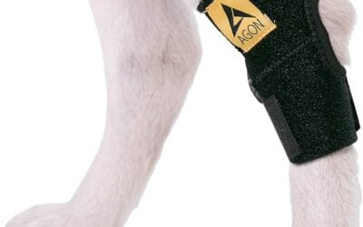 Best Dog Knee Brace: Support and Protect Your Pet’s Joints