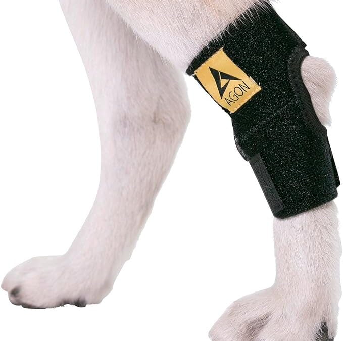 Best Dog Knee Brace: Support and Protect Your Pet’s Joints