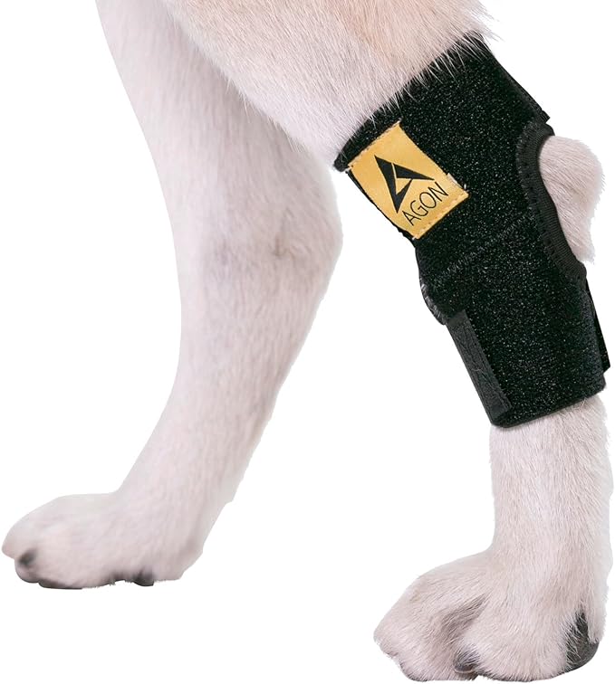 Best Dog Knee Brace