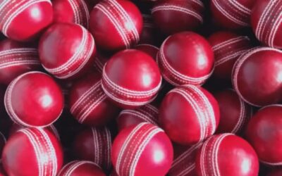 Cricket Ball: The Ultimate Guide to Choosing the Perfect Ball for Your Game